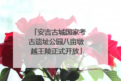 安吉古城国家考古遗址公园八亩墩越王陵正式开放