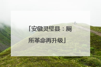 安徽灵璧县：厕所革命再升级