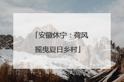 安徽休宁：荷风摇曳夏日乡村