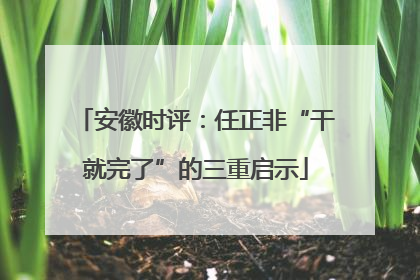 安徽时评：任正非“干就完了”的三重启示