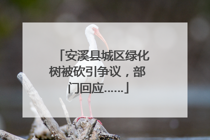 安溪县城区绿化树被砍引争议，部门回应……