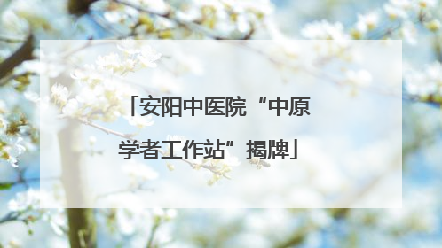 安阳中医院“中原学者工作站”揭牌