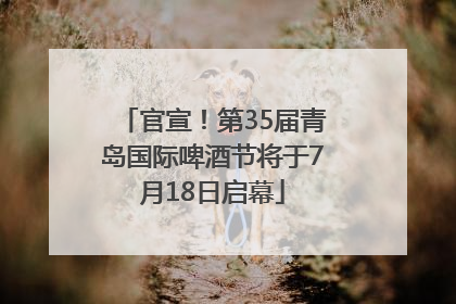 官宣！第35届青岛国际啤酒节将于7月18日启幕