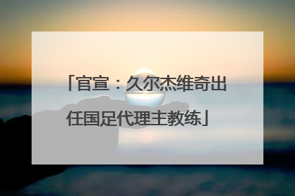 官宣：久尔杰维奇出任国足代理主教练