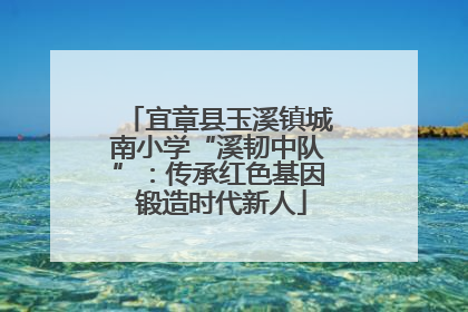 宜章县玉溪镇城南小学“溪韧中队”：传承红色基因 锻造时代新人
