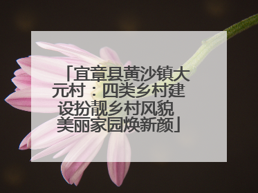 宜章县黄沙镇大元村：四类乡村建设扮靓乡村风貌 美丽家园焕新颜