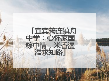 宜宾筠连镇舟中学：心怀家国粽中情，米香漫溢求知路