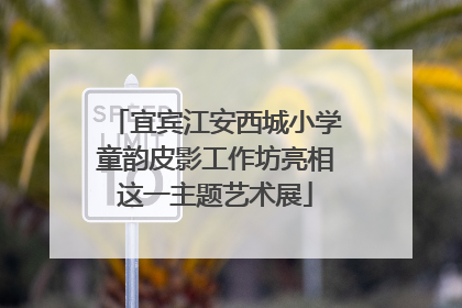 宜宾江安西城小学童韵皮影工作坊亮相这一主题艺术展