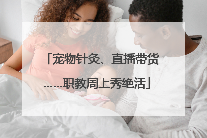 宠物针灸、直播带货……职教周上秀绝活
