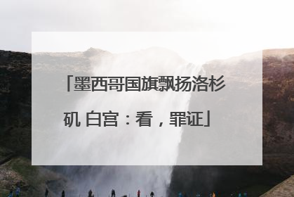 墨西哥国旗飘扬洛杉矶 白宫：看，罪证