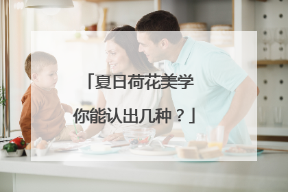 夏日荷花美学 你能认出几种？