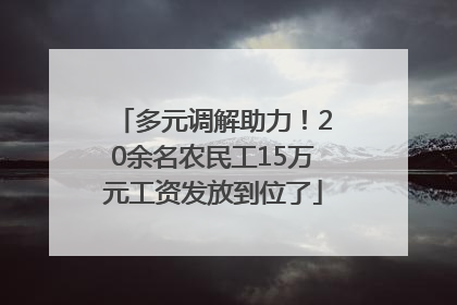 多元调解助力！20余名农民工15万元工资发放到位了
