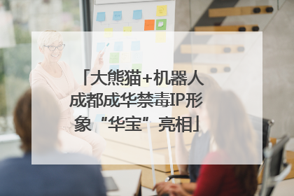 大熊猫+机器人 成都成华禁毒IP形象“华宝”亮相