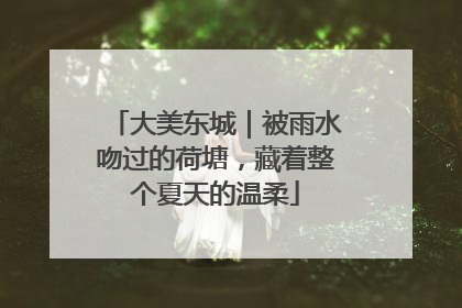 大美东城｜被雨水吻过的荷塘，藏着整个夏天的温柔