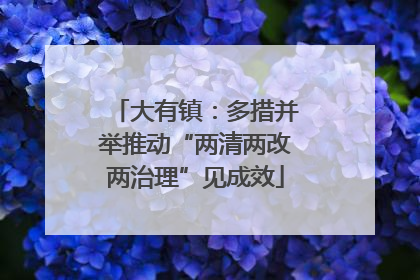 大有镇：多措并举推动“两清两改两治理”见成效