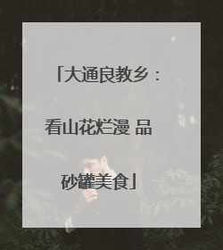 大通良教乡：看山花烂漫 品砂罐美食