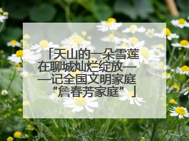 天山的一朵雪莲在聊城灿烂绽放——记全国文明家庭“詹春芳家庭”