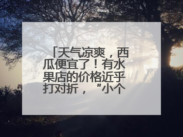 天气凉爽，西瓜便宜了！有水果店的价格近乎打对折，“小个子”的特小凤、小糖丸更好卖