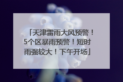 天津雷雨大风预警！5个区暴雨预警！短时雨强较大！下午开场