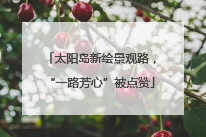 太阳岛新绘景观路，“一路芳心”被点赞