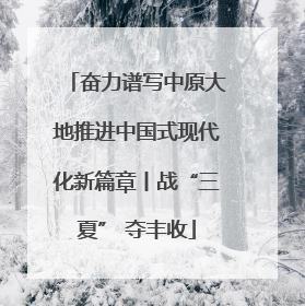 奋力谱写中原大地推进中国式现代化新篇章丨战“三夏” 夺丰收