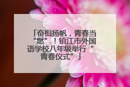 奋楫扬帆，青春当“燃”！镇江市外国语学校八年级举行“青春仪式”