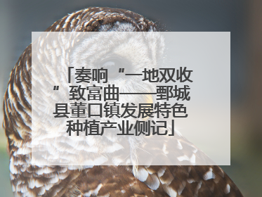 奏响“一地双收”致富曲——鄄城县董口镇发展特色种植产业侧记