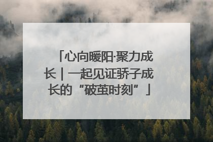 心向暖阳·聚力成长｜一起见证骄子成长的“破茧时刻”