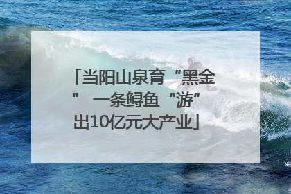 当阳山泉育“黑金” 一条鲟鱼“游”出10亿元大产业