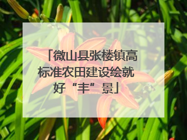微山县张楼镇高标准农田建设绘就好“丰”景