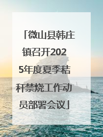 微山县韩庄镇召开2025年度夏季秸秆禁烧工作动员部署会议
