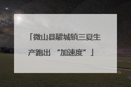 微山县驩城镇三夏生产跑出 “加速度”