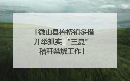 微山县鲁桥镇多措并举抓实 “三夏” 秸秆禁烧工作