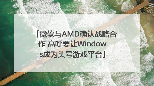 微软与AMD确认战略合作 高呼要让Windows成为头号游戏平台