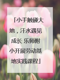 小手触碰大地，汗水遇见成长 乐师附小开展劳动基地实践课程