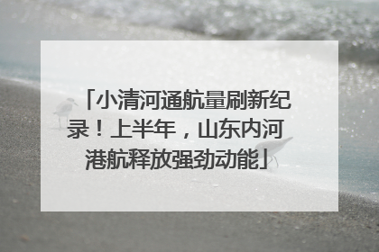 小清河通航量刷新纪录！上半年，山东内河港航释放强劲动能