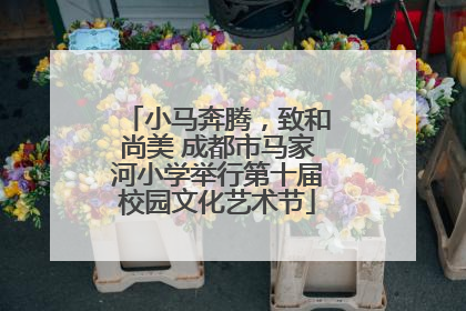 小马奔腾，致和尚美 成都市马家河小学举行第十届校园文化艺术节