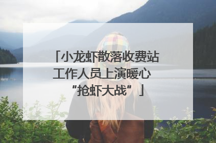 小龙虾散落收费站 工作人员上演暖心“抢虾大战”
