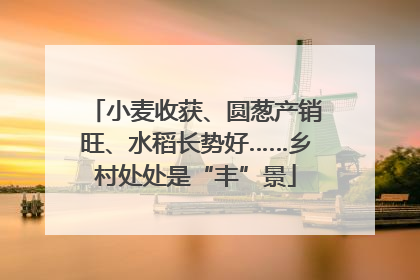 小麦收获、圆葱产销旺、水稻长势好……乡村处处是“丰”景