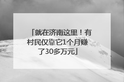 就在济南这里！有村民仅靠它1个月赚了30多万元