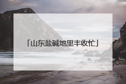 山东盐碱地里丰收忙