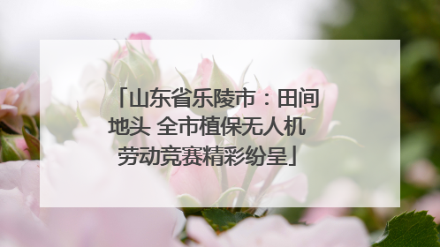 山东省乐陵市：田间地头 全市植保无人机劳动竞赛精彩纷呈