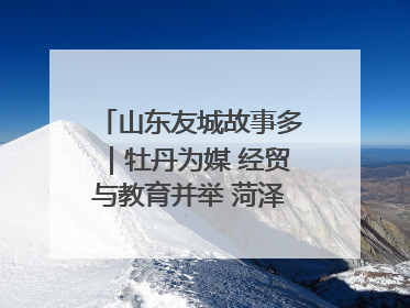 山东友城故事多｜牡丹为媒 经贸与教育并举 菏泽国际“朋友圈”扩容升级