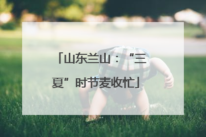 山东兰山：“三夏”时节麦收忙