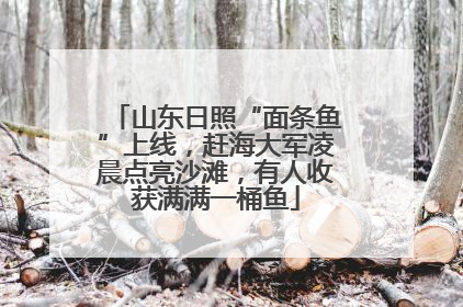 山东日照“面条鱼”上线，赶海大军凌晨点亮沙滩，有人收获满满一桶鱼