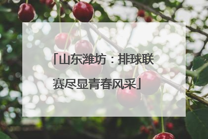 山东潍坊：排球联赛尽显青春风采