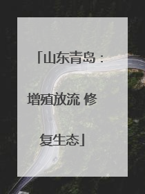 山东青岛：增殖放流 修复生态