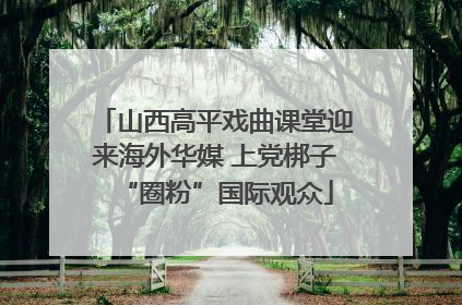 山西高平戏曲课堂迎来海外华媒 上党梆子“圈粉”国际观众