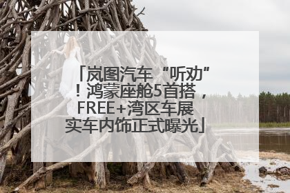 岚图汽车“听劝”！鸿蒙座舱5首搭，FREE+湾区车展实车内饰正式曝光