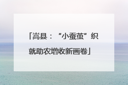 嵩县：“小蚕茧”织就助农增收新画卷
